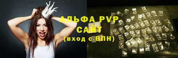 индика Абаза