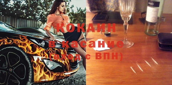 индика Абаза