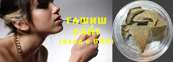 индика Абаза