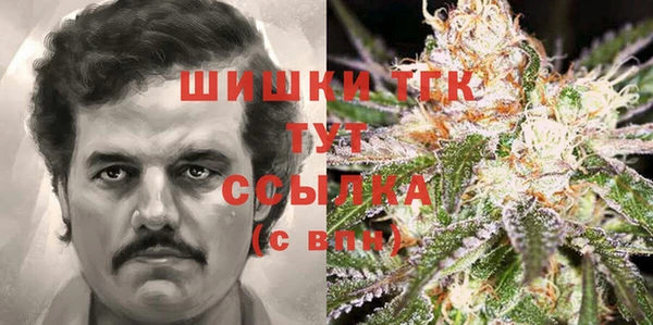 индика Абаза