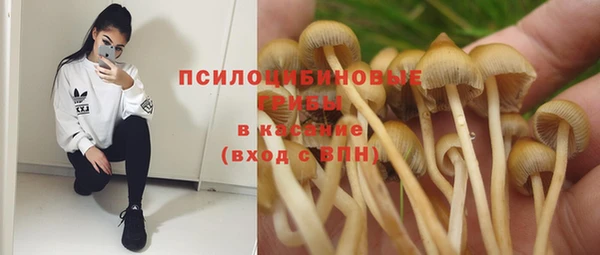 винт Абинск