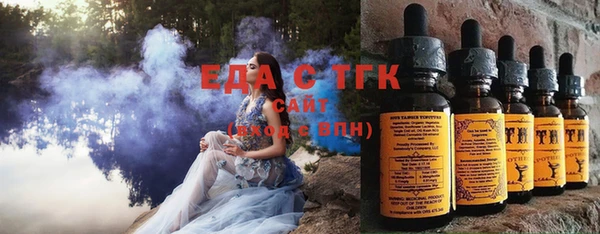 индика Абаза