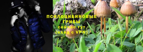 винт Абинск