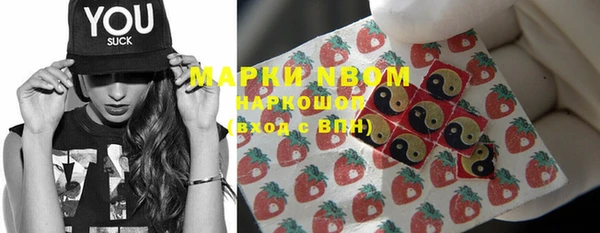 индика Абаза