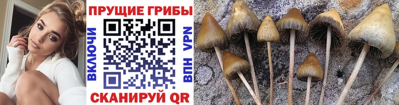 Псилоцибиновые грибы мухоморы  Нальчик 